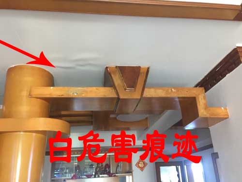 如何鉴别白蚁危害. 白蚁危害特征泉州城保白蚁防治首选