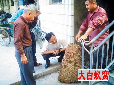 1鍓湰.jpg